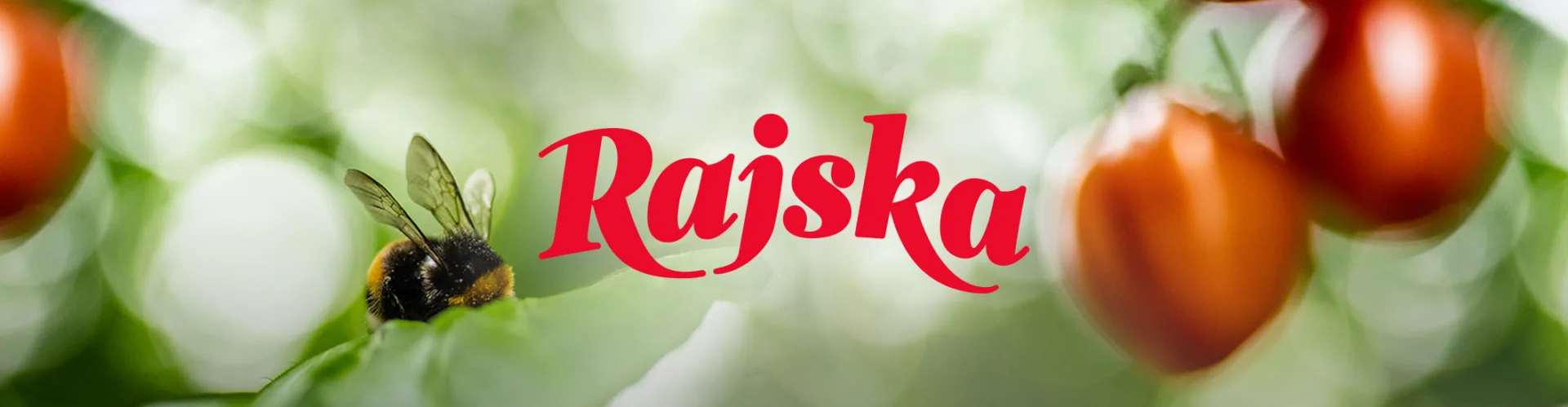 Rajska hero 2116x550