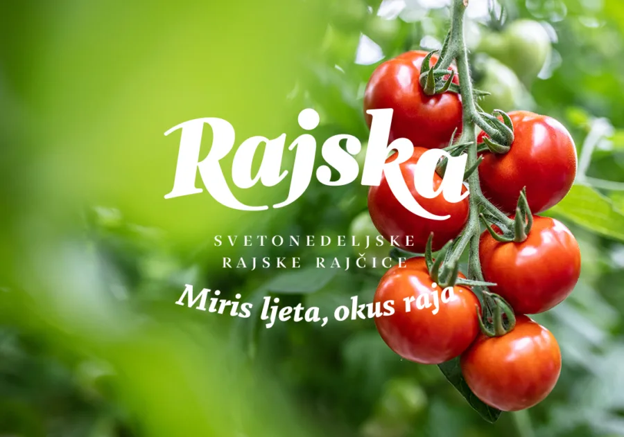 Rajska vizual 1088x763