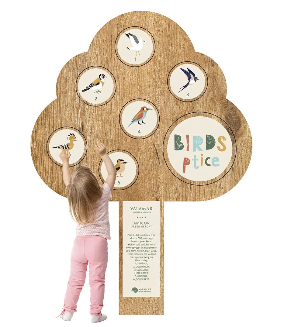 07a amicor 467x538px v2