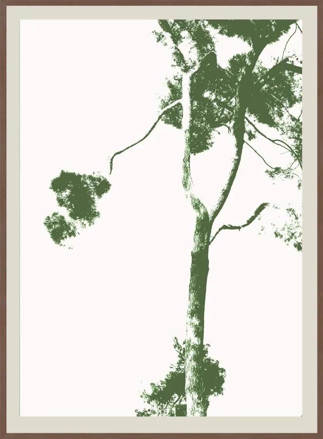 3 DRVOREZI NOVI 100 x 70cm i 30x30 cm 2 komada