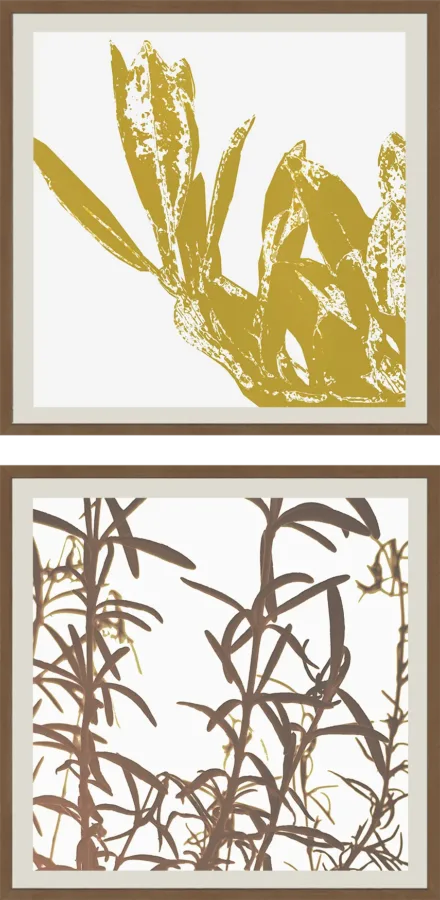 4 DRVOREZI NOVI 100 x 70cm i 30x30 cm 2 komada